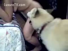Worked up milf exposes herself and bows over for brute sex with her dog